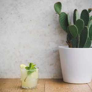 VERBENA LEMONADE