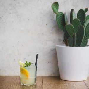 GINGER LEMONADE