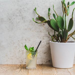 BASIL LEMONGRASS SODA