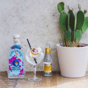 DADA CHAPEL GIN