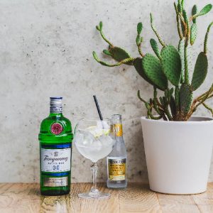 TANQUERAY ZERO