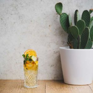 CUBAN MULE