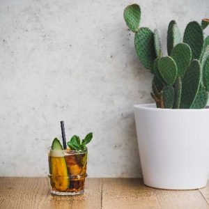 PIMM’S CUP