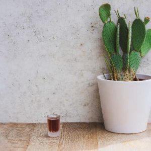 JÄGER BOMB