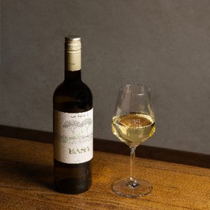 BASA GLASS