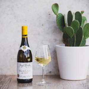 MACON LUGNY BOTTLE