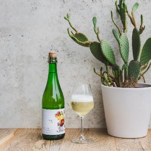 CIDRE DU CONDROT BOTTLE