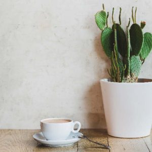 HOT CHOCOLATE