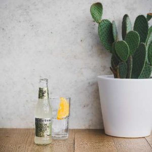 FEVER TREE GINGER BEER
