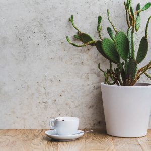 COCONUT MATCHA LATTE