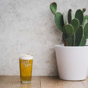 STELLA ARTOIS – PILS – 5.2° – 30CL