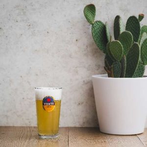 VEDETT EXTRA – WHITE – 4.7° – 50CL