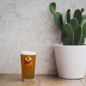 VEDETT IPA – AMBER – 6° – 50CL