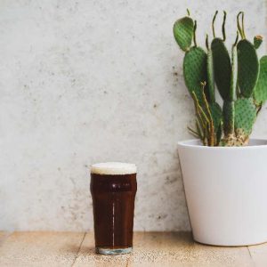 DE CONINCK – AMBER – 5.2° – 50CL