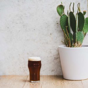 DE CONINCK – AMBER – 5.2° – 30CL