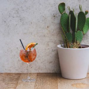 CHANDON GARDEN SPRITZ