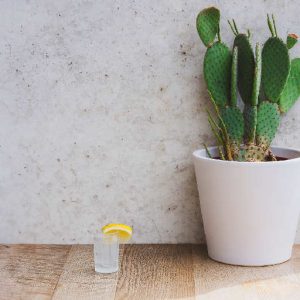 OLMECA TEQUILA AND LIME