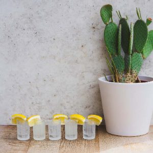 SUNSHINE (BUY 4 GET 1 FREE)